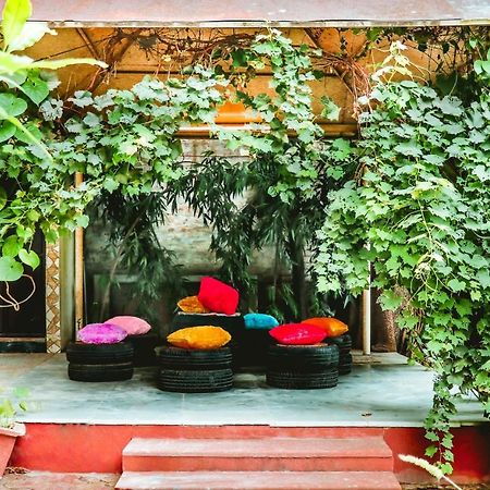 Farmstay - Capsule Den นิวเดลี ภายนอก รูปภาพ