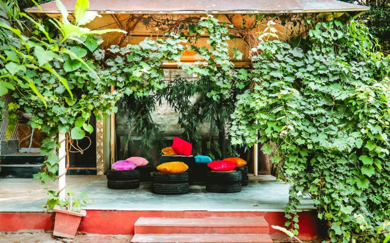 Farmstay - Capsule Den นิวเดลี ภายนอก รูปภาพ